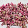 Sedum Tricolor Live Plant - Groundcover Stonecrop - 4 inch Pot - Outdoor Succulent - Image 1