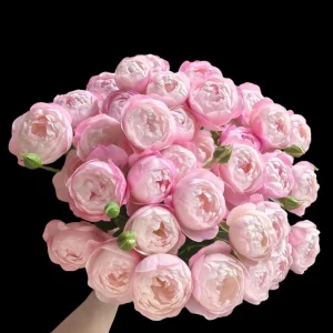 Strawberry Macaron Rose Live Plant - Pink Shrub, 60-80cm Tall, Peony-like Blooms - Image 1