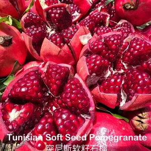 Tunisian Soft Seed Pomegranate Tree - Grafted Live Plant - Sweet Fruit, Easy Grow - Image 4