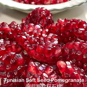 Tunisian Soft Seed Pomegranate Tree - Grafted Live Plant - Sweet Fruit, Easy Grow - Image 5
