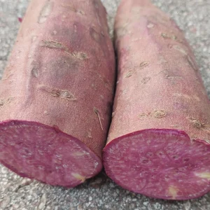 4 Purple Sweet Potato Live Plants – Stokes Variety – Purple Skin & Flesh – Rooted Vines in Pot - Image 6