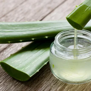 Aloe Vera Live Plant 2 Inch Pot - Succulent Houseplant Indoor Outdoor - Image 7
