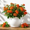 Bright Orange Lantana Live Plants (Set of 2) – 4-7 Inches Tall – Outdoor Flowering Shrub - Image 1