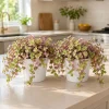 Callisia Live Plant Set - Pink Lady Trailing Houseplant, 5-8" Tall, 4" Pot, 2-Pack - Image 1