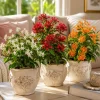 Jasmine Live Plant 3-Pack: White, Red, Orange Flowers, 4-8 Inch, Tropical - Image 1