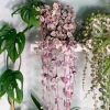 Pink Variegated String of Hearts Live Plant – Trailing Succulent – 2.5x4 inch Pot – Indoor Houseplant - Image 1