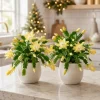 Set of 4 Yellow Christmas Cactus Live Plants, Schlumbergera, 4-8 Inch Tall, Unpotted - Image 1