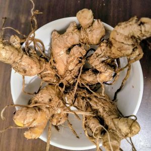5 Awapuhi Shampoo Ginger Rhizomes - Zingiber Zerumbet Pinecone Ginger Roots - Image 4