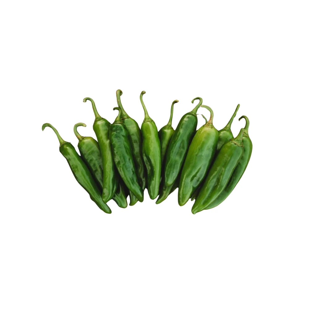 Anaheim Chili Pepper Seeds - Heirloom Mild Variety - Non-GMO - 30 Seeds for Roasting - Image 10