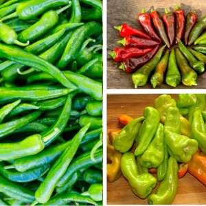 Anaheim Chili Pepper Seeds - Heirloom Mild Variety - Non-GMO - 30 Seeds for Roasting - Image 4