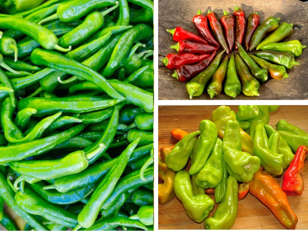 Anaheim Chili Pepper Seeds - Heirloom Mild Variety - Non-GMO - 30 Seeds for Roasting - Image 4