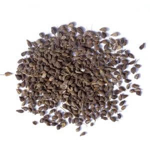 Anise Seeds - Pimpinella anisum - Sweet Aromatic Herb - 50 Seeds - Image 3