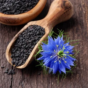 Bachelor Button Seeds - Mixed Cornflower Seeds - 20 Seeds - Easy Grow Annual - Image 3