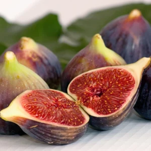 Black Mission Fig Seeds – Ficus Carica – Sweet Edible Figs – 25 Seeds - Image 10