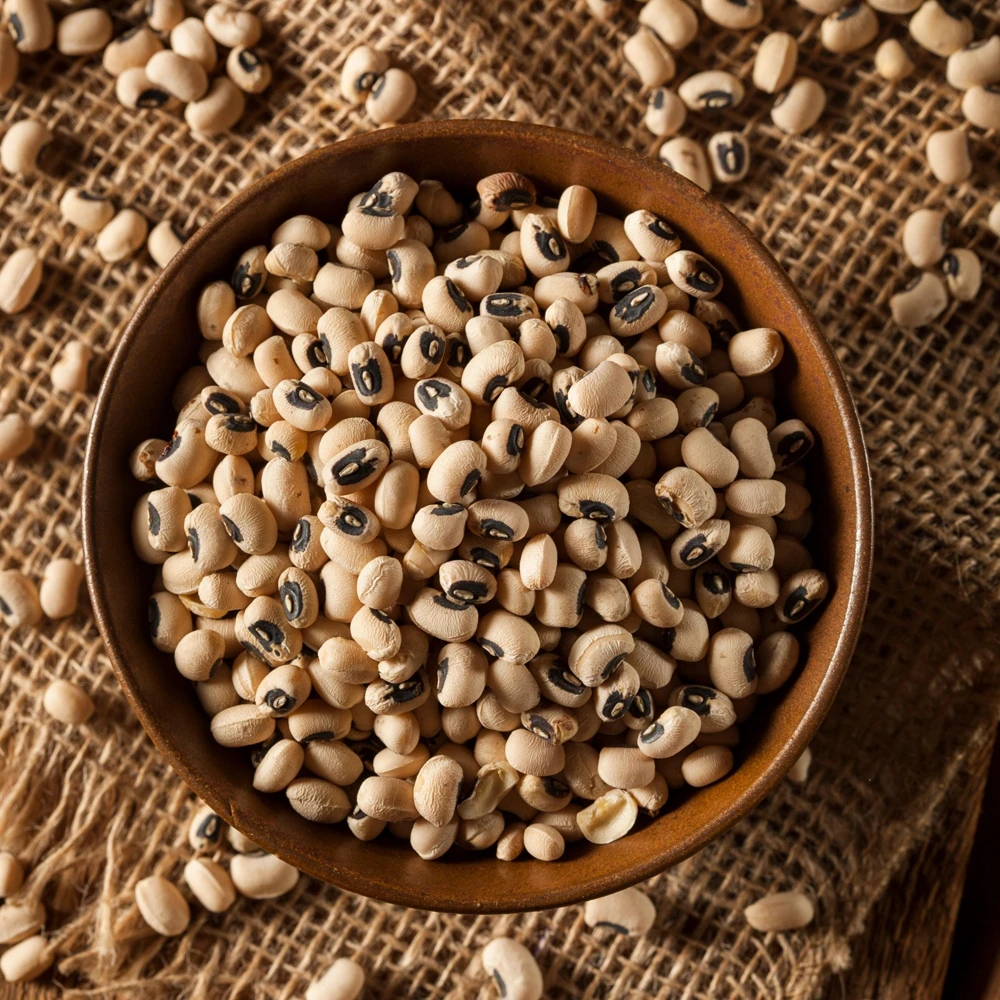 Blackeye Pea Seeds - Traditional Cowpea Variety - High Yield Bush Beans - 15 Seeds - Image 10