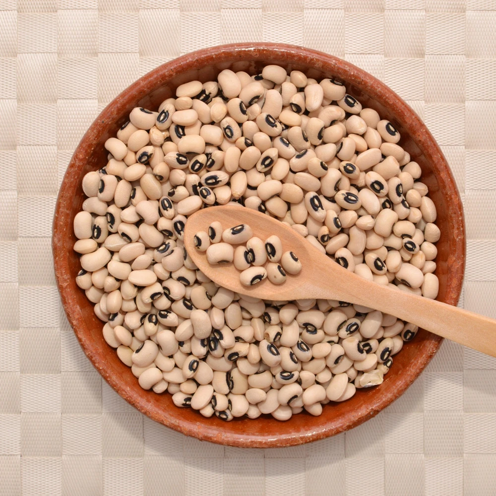 Blackeye Pea Seeds - Traditional Cowpea Variety - High Yield Bush Beans - 15 Seeds - Image 15