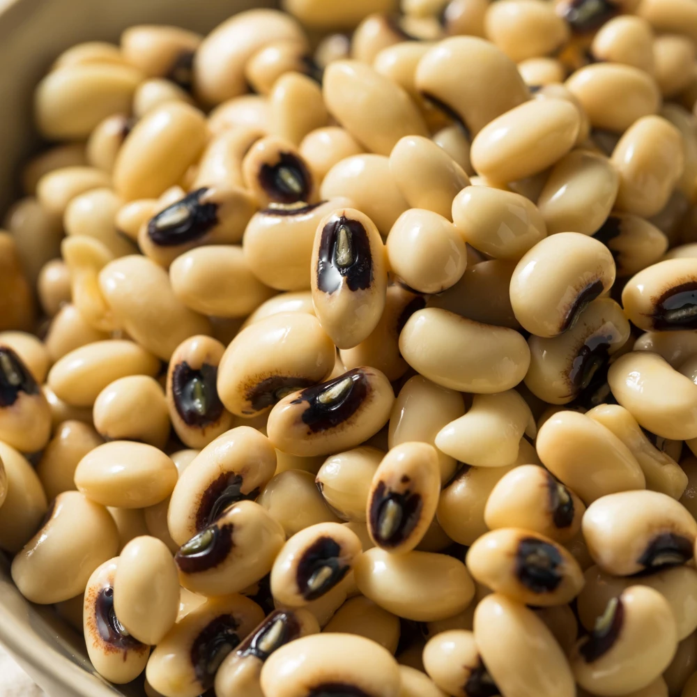 Blackeye Pea Seeds - Traditional Cowpea Variety - High Yield Bush Beans - 15 Seeds - Image 3