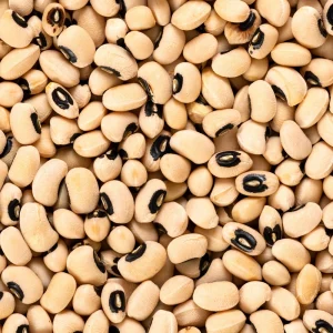 Blackeye Pea Seeds - Traditional Cowpea Variety - High Yield Bush Beans - 15 Seeds - Image 4