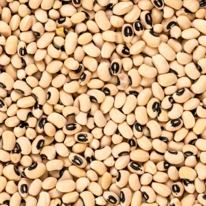 Blackeye Pea Seeds - Traditional Cowpea Variety - High Yield Bush Beans - 15 Seeds - Image 8