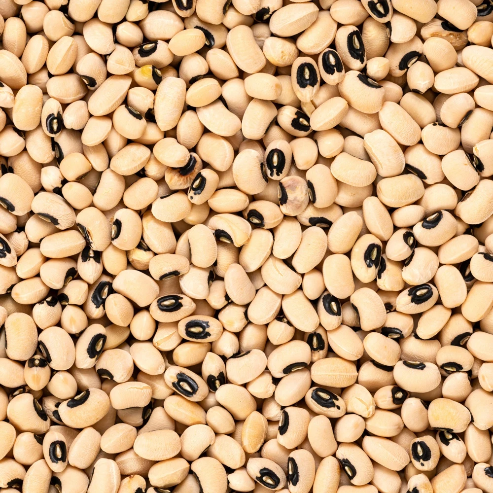 Blackeye Pea Seeds - Traditional Cowpea Variety - High Yield Bush Beans - 15 Seeds - Image 8