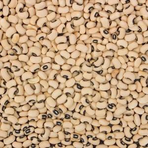 Blackeye Pea Seeds - Traditional Cowpea Variety - High Yield Bush Beans - 15 Seeds - Image 9