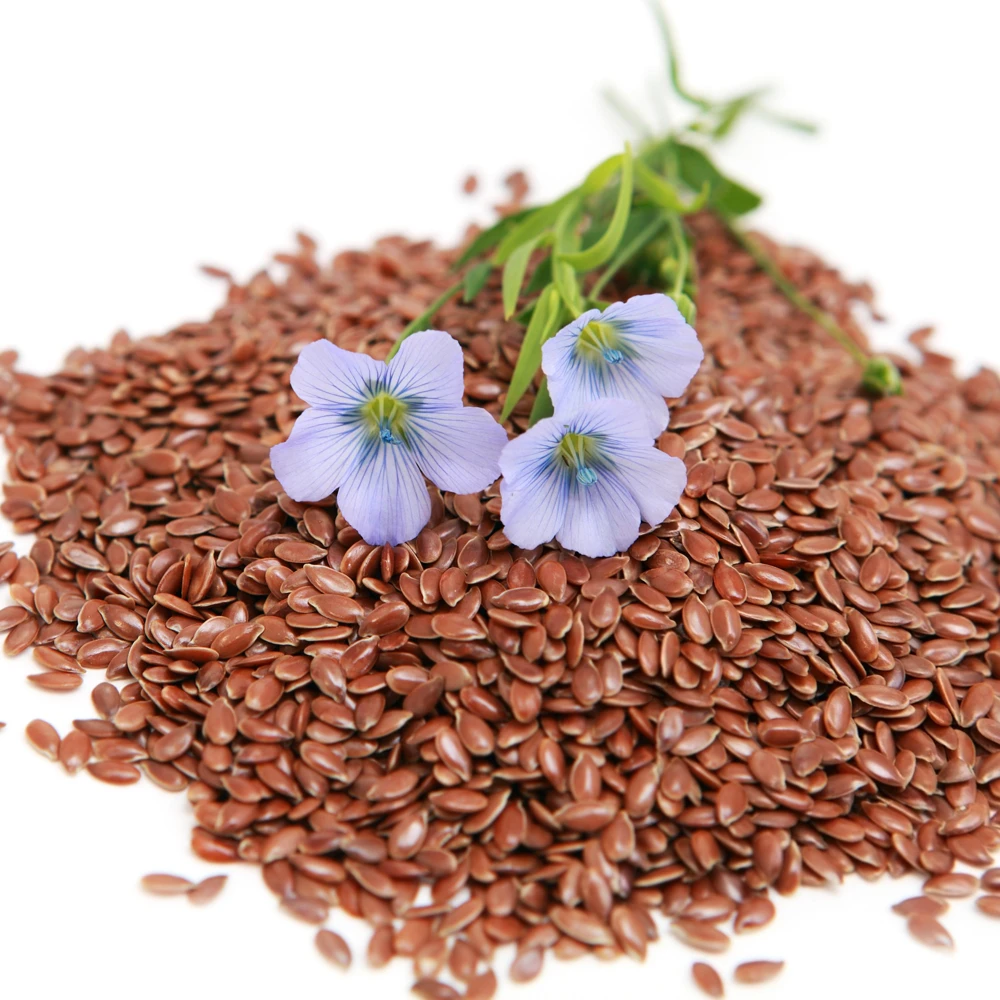 Blue Flax Seeds (Linum) - 30 Seeds - Attracts Pollinators - Easy to Grow - Non-GMO - Image 6