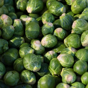Brussels Sprouts Seeds - Heirloom Vegetable Seeds - 50 Count Pack - Cold Hardy for Fall & Winter Harvest - Image 2