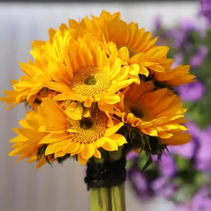 Buttercream Sunflower Seeds - 25 Seeds - Open-Pollinating, Drought Resistant Annuals - Image 12