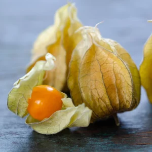Cape Gooseberry Seeds - Physalis peruviana - Golden Berry Fruit Seeds - 20 Seeds - Image 2