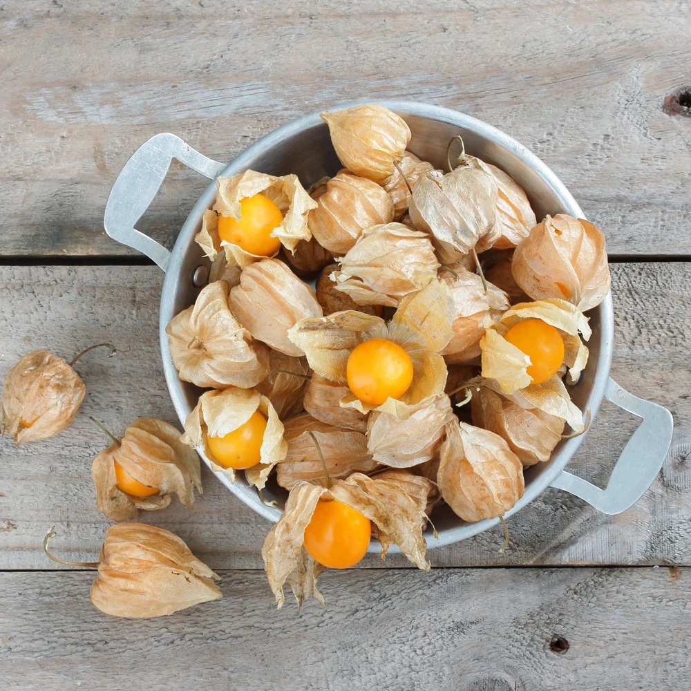 Cape Gooseberry Seeds - Physalis peruviana - Golden Berry Fruit Seeds - 20 Seeds - Image 6