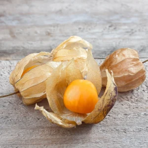 Cape Gooseberry Seeds - Physalis peruviana - Golden Berry Fruit Seeds - 20 Seeds - Image 7