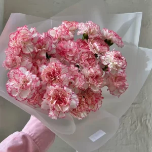 Carnation Seeds Dianthus - 30 Seeds, Cold Hardy, Drought Resistant, Colorful Garden Flowers - Image 9