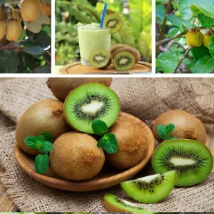 Chinese Gooseberry Kiwi Fruit Seeds - Grow Delicious Kiwis - Perennial 20 Seeds - Image 8