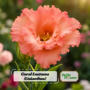 Coral Lisianthus Seeds - Eustoma grandiflorum - 20 Seeds - Double Rose-Like Blooms - Image 1