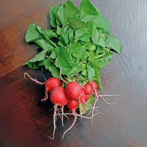 Crimson Giant Radish Seeds - 30 Seeds - Fast Growing Heirloom Red Radish - Image 10