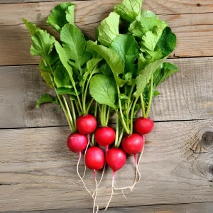 Crimson Giant Radish Seeds - 30 Seeds - Fast Growing Heirloom Red Radish - Image 11