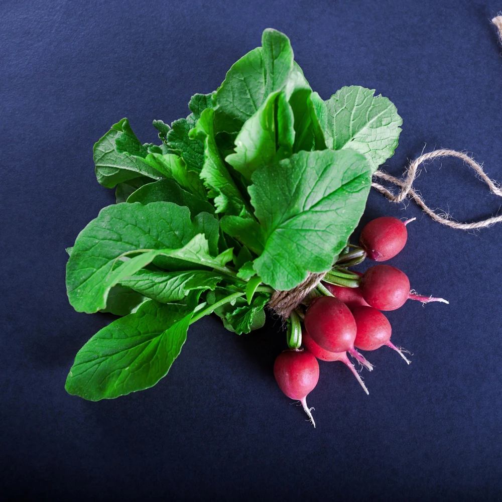 Crimson Giant Radish Seeds - 30 Seeds - Fast Growing Heirloom Red Radish - Image 14