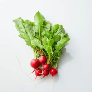 Crimson Giant Radish Seeds - 30 Seeds - Fast Growing Heirloom Red Radish - Image 6