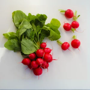 Crimson Giant Radish Seeds - 30 Seeds - Fast Growing Heirloom Red Radish - Image 7