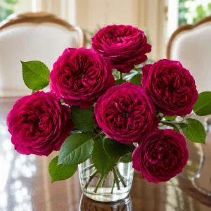 Darcy Bussell Rose Seeds - 30 Crimson Red English Shrub Rose Seeds for Garden - Image 10
