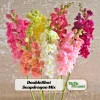 DoubleShot Mix Snapdragon Seeds - Cold Hardy, Pollinator Attractor, 30 Seeds - Image 1