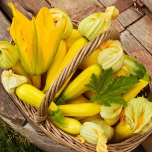 Early Prolific Straightneck Yellow Squash Seeds - 20 Count, High Yield - Image 10