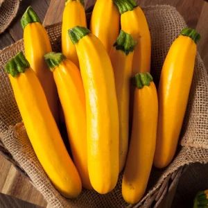Early Prolific Straightneck Yellow Squash Seeds - 20 Count, High Yield - Image 9