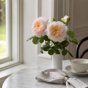 Emily Bronte Rose Seeds - Fragrant English Shrub Rose - 30 Seeds - Pink Apricot Blooms - Image 2