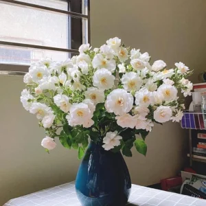 Friendship Rose Seeds - Rare Fragrant, Cold Resistant Rose Seeds - Perennial Flower Seeds - 30 Seeds - Image 13
