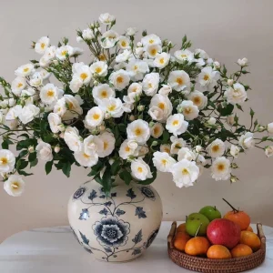 Friendship Rose Seeds - Rare Fragrant, Cold Resistant Rose Seeds - Perennial Flower Seeds - 30 Seeds - Image 7