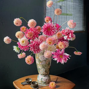 Frost Nip Dahlia Seeds - 40 Count Pollinator Friendly Heirloom Flower Seed Mix - Image 12