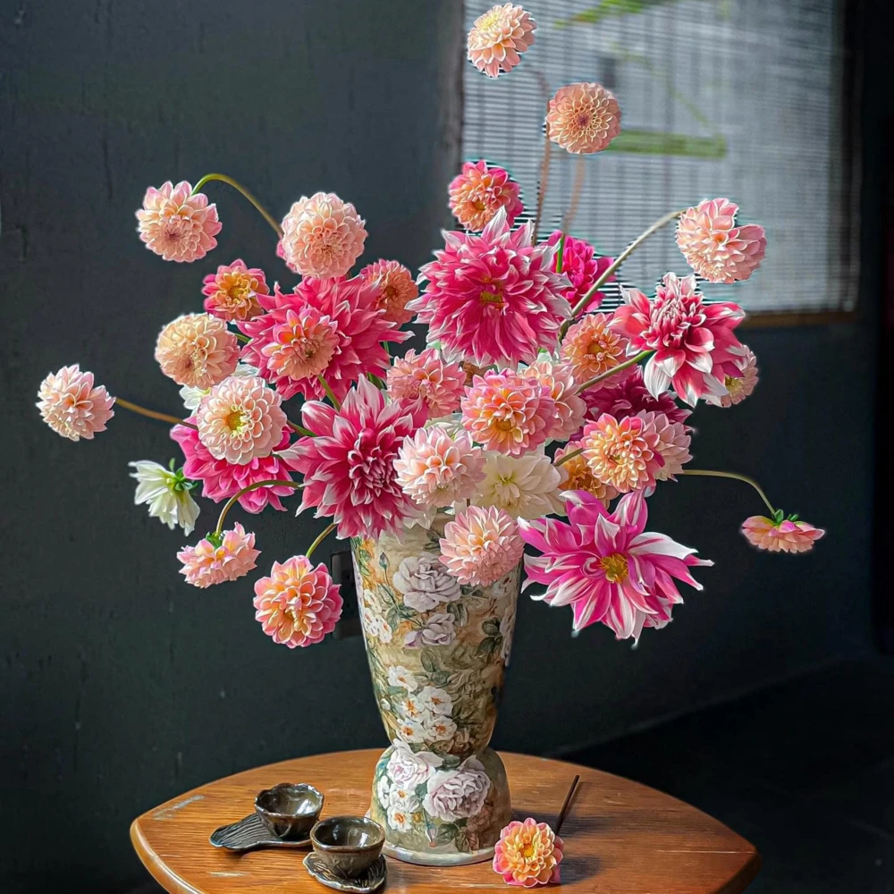 Frost Nip Dahlia Seeds - 40 Count Pollinator Friendly Heirloom Flower Seed Mix - Image 12