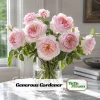 Generous Gardener Rose Seeds - Soft Pink Climbing Rose - 30 Seeds Pack - Image 1