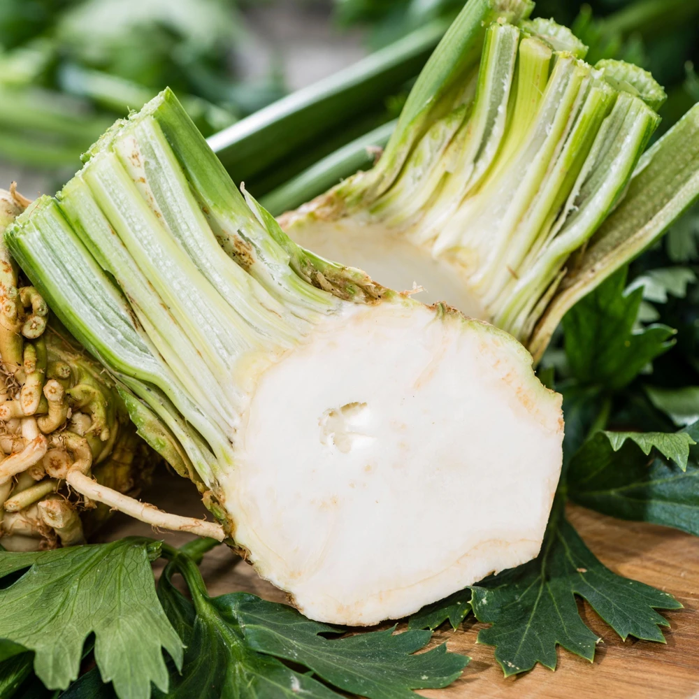 Giant Prague Celeriac Seeds - 50 Seed Pack - Heirloom Root Vegetable - Image 14